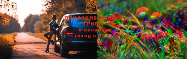 кристаллы Алексин
